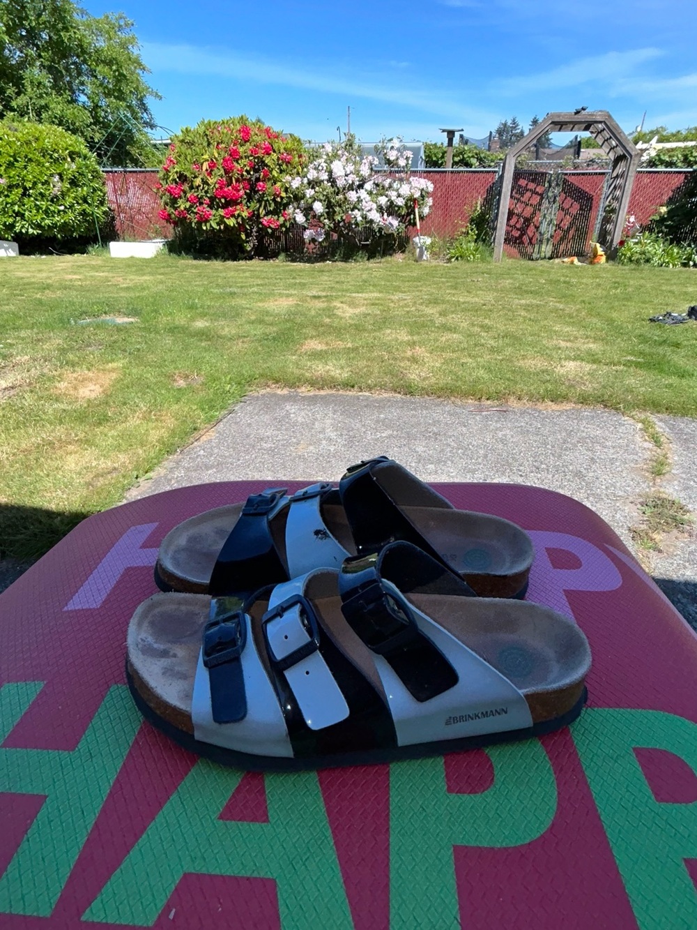 Dr Brinkman Women’s Two-Tone Black & Light Blue Double Strap Sandals Sz 10.5